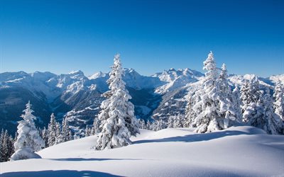 mountain landscape, winter, snow, mountains, blue sky, forest