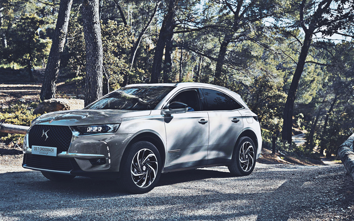 DS 7 Crossback E-Tense 4x4, road, 2019 cars, crossovers, 2019 DS 7 Crossback E-Tense 4x4, french cars, DS7
