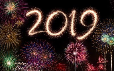 Feliz Ano Novo 2019, fogos de artif&#237;cio coloridos, arte, 2019 conceitos, c&#233;u da noite, 2019 fogos de artif&#237;cio