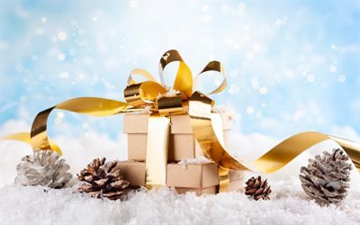 Christmas gift, New Year, golden bow, golden ribbons, winter, snow, cones
