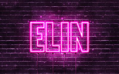 Elin, 4k, pap&#233;is de parede com nomes, nomes femininos, nome de Elin, luzes de n&#233;on roxas, feliz anivers&#225;rio Elin, nomes femininos holandeses populares, foto com o nome de Elin