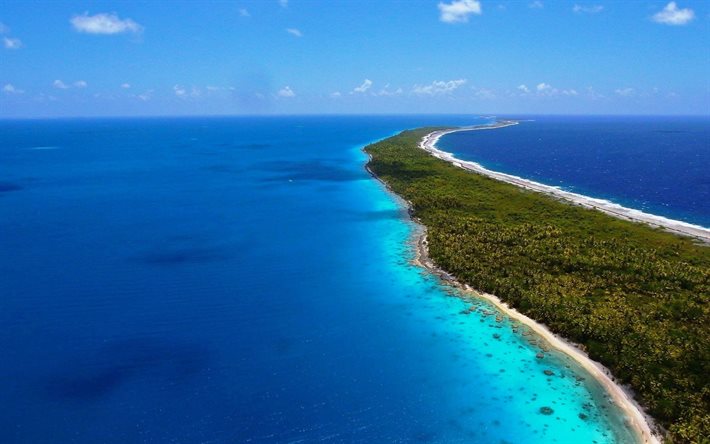 isole tropicali, oceano, veduta aerea, costa oceanica, palme, viaggi estivi