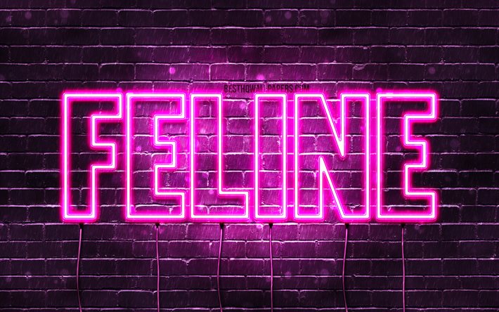 Feline, 4k, wallpapers with names, female names, Feline name, purple neon lights, Happy Birthday Feline, popular dutch female names, picture with Feline name