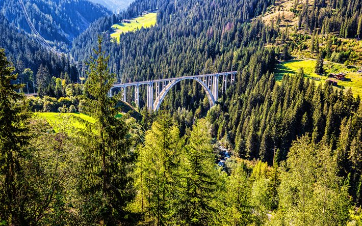 Graub&#252;nden, Schweiz, Alperna, 4k, berg, vacker natur, sommar, Europa, schweiziska natur