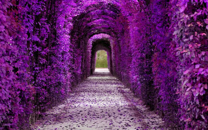 tunnel di fiori viola, tunnel di fiori, decorazioni floreali, arco di fiori