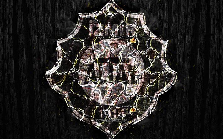 Altay SK, br&#228;nda logotyp, Turkiska 1 Lig, svart tr&#228; bakgrund, turkish football club, TFF F&#246;rsta Ligan, Altay FC, grunge, fotboll, Altay logotyp, brand konsistens, Turkiet, Altay Izmir