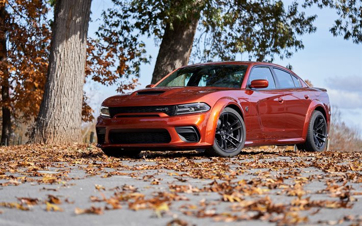 2021, Dodge Charger SRT Hellcat Redeye, front view, bronze sedan, new bronze Charger, tuning Charger, american cars, Dodge