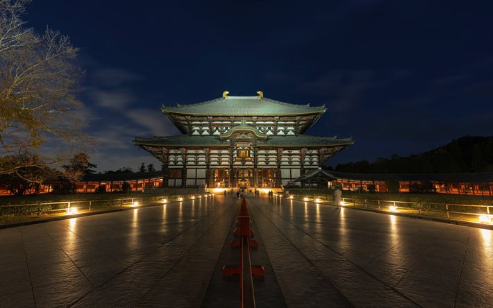 Todai-JI, 4k, temple bouddhiste, villes japonaises, Nara, Japon, Asie, paysages nocturnes