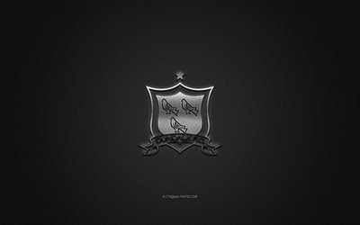 Dundalk FC, Irish football club, silver logo, gray carbon fiber background, League of Ireland Premier Division, football, Dundalk, Ireland, Dundalk FC logo