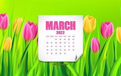 Calendário de março de 2022, 4k, plano de fundo com tulipas, 2022 calendário de primavera, 2022 conceitos, março de 2022 Calendário, tulipas, flores da primavera, março