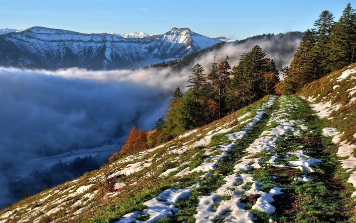 オーストリア, 山々, 春, 雲, 霧