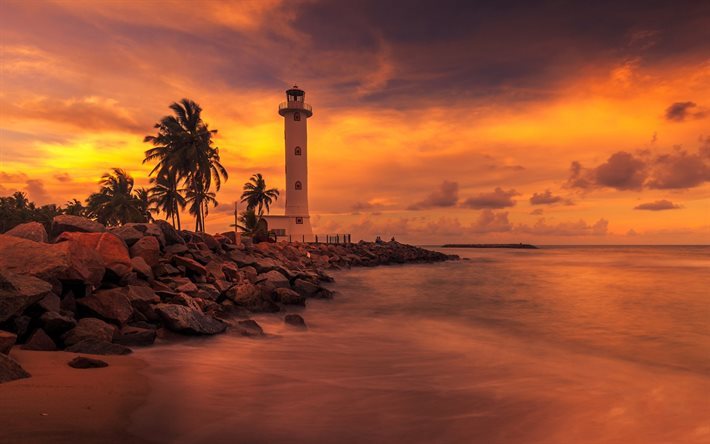 Lighthouse, palm trees, sunset, evening, beach, ocean, Sri Lanka