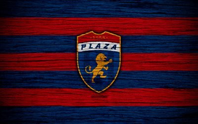 Plaza Amador FC, 4k, LPF, soccer, Liga Panamena, logo, football club, Panama, CD Plaza Amador, wooden texture, FC Plaza Amador