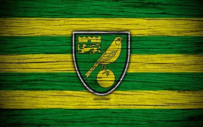Norwich City FC, 4k, HAZIRLIK Şampiyonası, futbol, futbol kul&#252;b&#252;, İngiltere, Norwich City, logo, ahşap doku, FC Norwich City