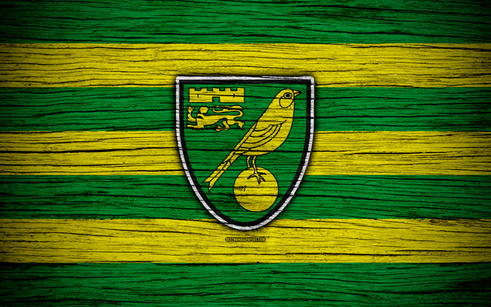 O Norwich City FC, 4k, EFL Campeonato, futebol, clube de futebol, Inglaterra, O Norwich City, logo, textura de madeira
