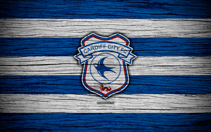 Cardiff City FC, 4k, EFL Championnat, football, club de football, l&#39;Angleterre, la Ville de Cardiff, le logo, la texture de bois