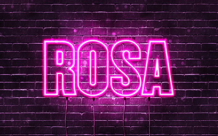 Cor-de-rosa, 4k, pap&#233;is de parede com os nomes de, nomes femininos, Nome do Rosa, roxo luzes de neon, texto horizontal, imagem com nome do Rosa