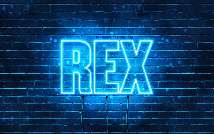 rex, 4k, tapeten, die mit namen, horizontaler text, namen rex, blue neon lights, bild mit namen rex
