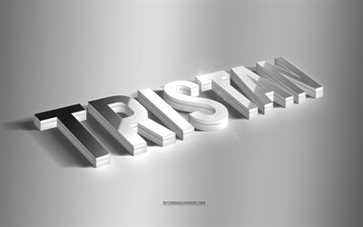 Tristan, silver 3d art, gray background, wallpapers with names, Tristan name, Tristan greeting card, 3d art, picture with Tristan name