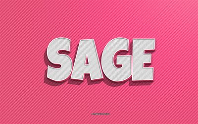 Sage, pink lines background, wallpapers with names, Sage name, female names, Sage greeting card, line art, picture with Sage name