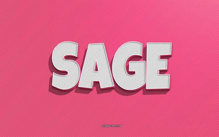 Sage, pink lines background, wallpapers with names, Sage name, female names, Sage greeting card, line art, picture with Sage name