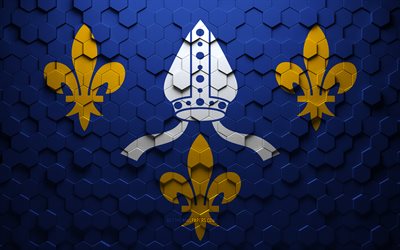 bandera de saintonge, arte de panal, bandera de hex&#225;gonos de saintonge, arte de hex&#225;gonos 3d de saintonge