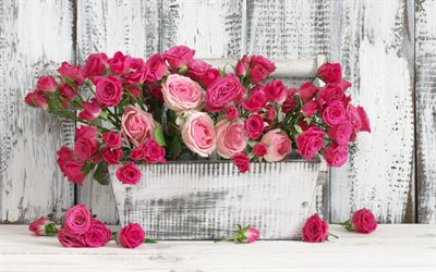 des roses roses, un pot en bois, de belles fleurs violettes, roses, Jardinage
