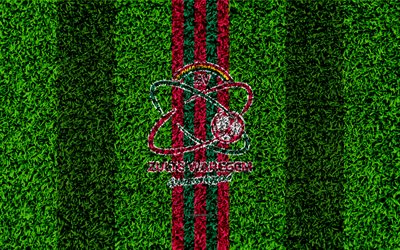 SV Zulte Waregem, 4k, Belgian football club, football pitch, logo, red green lines, Jupiler League, grass texture, Waregem, Belgium, Belgian First Division A, Waregem fc