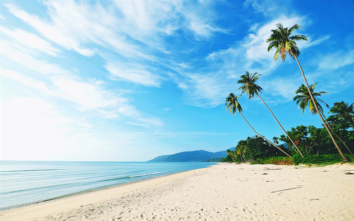 tropiska &#246;n, beach, palms, sand, v&#229;gor, bl&#229; himmel, kv&#228;ll, sunset, sommaren resor