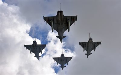eurofighter typhoon der spanischen luftwaffe, spanischer k&#228;mpfer, milit&#228;r-flugzeuge, armee der luft, eurofighter gmbh