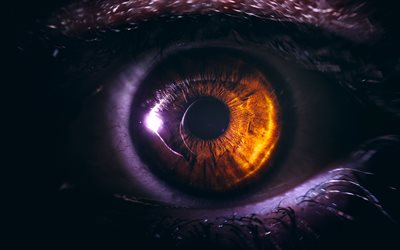 yellow eye, 4k, close-up, human eye, pupil