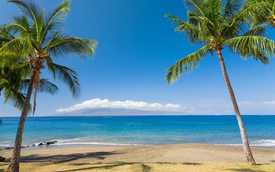 palms, beach, coconuts, seascape, blue lagoon, sand, tropical island, summer travels
