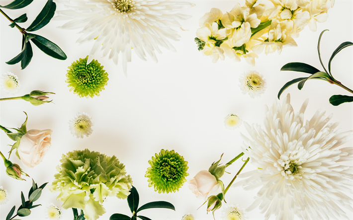 光の花の背景, 緑色の菊, 白い花, 花飾り