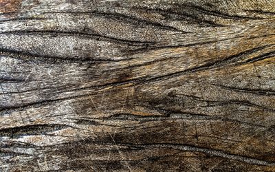 de madeira rachada textura, 4k, planos de fundo madeira, macro, texturas de madeira, brown fundos, de madeira marrom