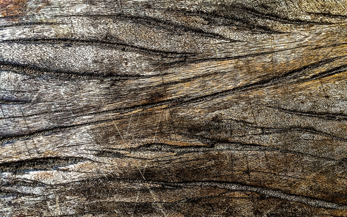 in legno di cracking texture 4k, sfondi in legno, macro, di legno, texture, marrone, sfondi, legno marrone