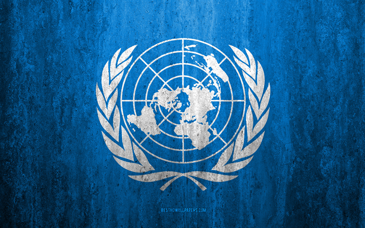 Yhdistyneiden Kansakuntien lippu, 4k, kivi tausta, grunge lippu, kansainv&#228;listen j&#228;rjest&#246;jen, YK: n lipun alla, grunge art, symbolit, Yhdistyneiden Kansakuntien, kivi rakenne