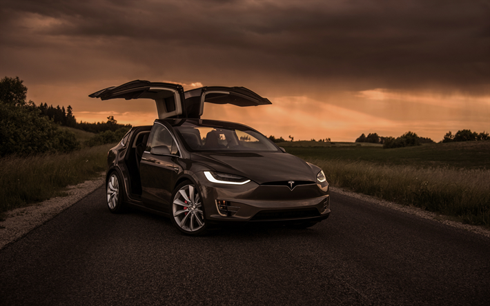 Tesla Model X, 2019, exterior, front view, new gray Model X, electric crossover, door wings, American electric cars, Tesla