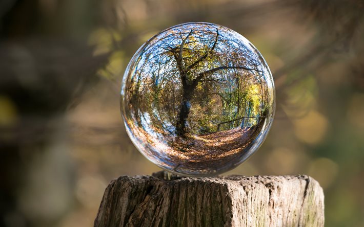 boule de verre, bokeh, moignon, le flou, l&#39;automne, l&#39;arbre de r&#233;flexion