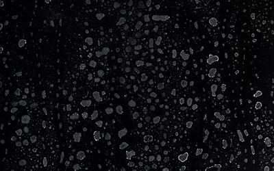 black Liquid texture, creative black texture, molecules background, Liquid black background