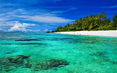 Tropical island, paradise, beach, ocean, summer, vacation, waves