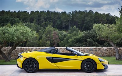 McLaren 570S Ara&#241;a, 2018, amarillo coche deportivo, vista lateral, el roadster Brit&#225;nico, coches, amarillo 570S, McLaren