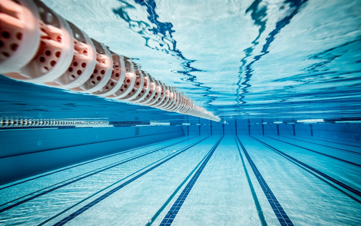 スポーツプール, 水中, 青い水, 25メートルプール, 水泳の概念
