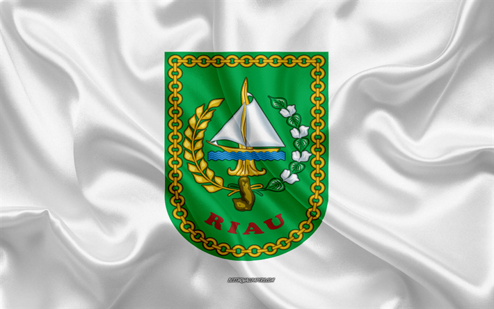 علم رياو, 4k, الحرير العلم, محافظة إندونيسيا, نسيج الحرير, رياو العلم, إندونيسيا, مقاطعة رياو