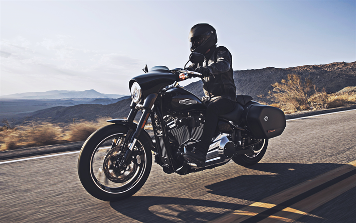 Motosiklet Harley-Davidson Softail Spor Glide, road, superbikes, 2019 bisiklet, FLSB, siyah motosiklet, 2019 Harley-Davidson Softail Spor Glide, Amerikan motosikletler, Harley-Davidson, motorcu