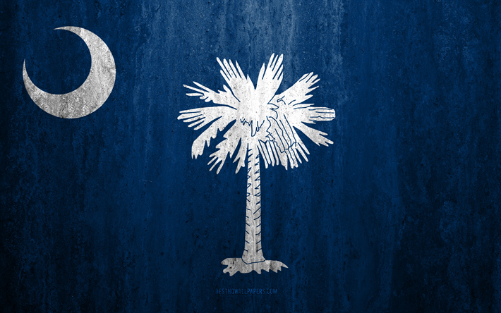 G&#252;ney Carolina bayrak, 4k, taş arka plan, Amerikan devleti, grunge bayrak, ABD, grunge sanat, South Carolina, bayraklar Devletleri