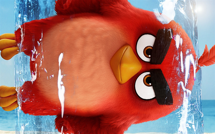 Rouge, 4k, Les Oiseaux en Col&#232;re Film 2, 2019 film, 3D, animation, Angry Birds 2