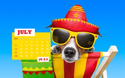July 2019 Calendar, 4k, summer, funny dog, 2019 calendar, July 2019, creative, July 2019 calendar with dog, Calendar July 2019, dog on beach, 2019 calendars