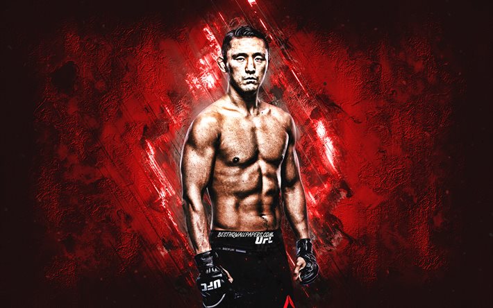 Dong Hyun Ma, MMA, UFC, The Maestro, South Korean fighter, portrait, red stone background, Ultimate Fighting Championship