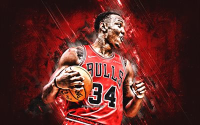 Wendell Carter Jr, NBA, Chicago Bulls, red stone background, American Basketball Player, portrait, USA, basketball, Chicago Bulls players
