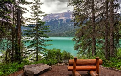 emerald lake, lago di montagna, lago glaciale, panca in legno, alberta, parco nazionale di yoho, british columbia, canada
